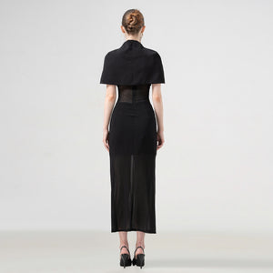 Solo Muse Mesh Stretchy Body Fit Dress - Look 1